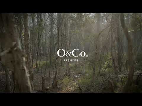 A peaceful bush retreat, perfect for nature enthusiasts. The Botanist Gin at Paperbark Camp.