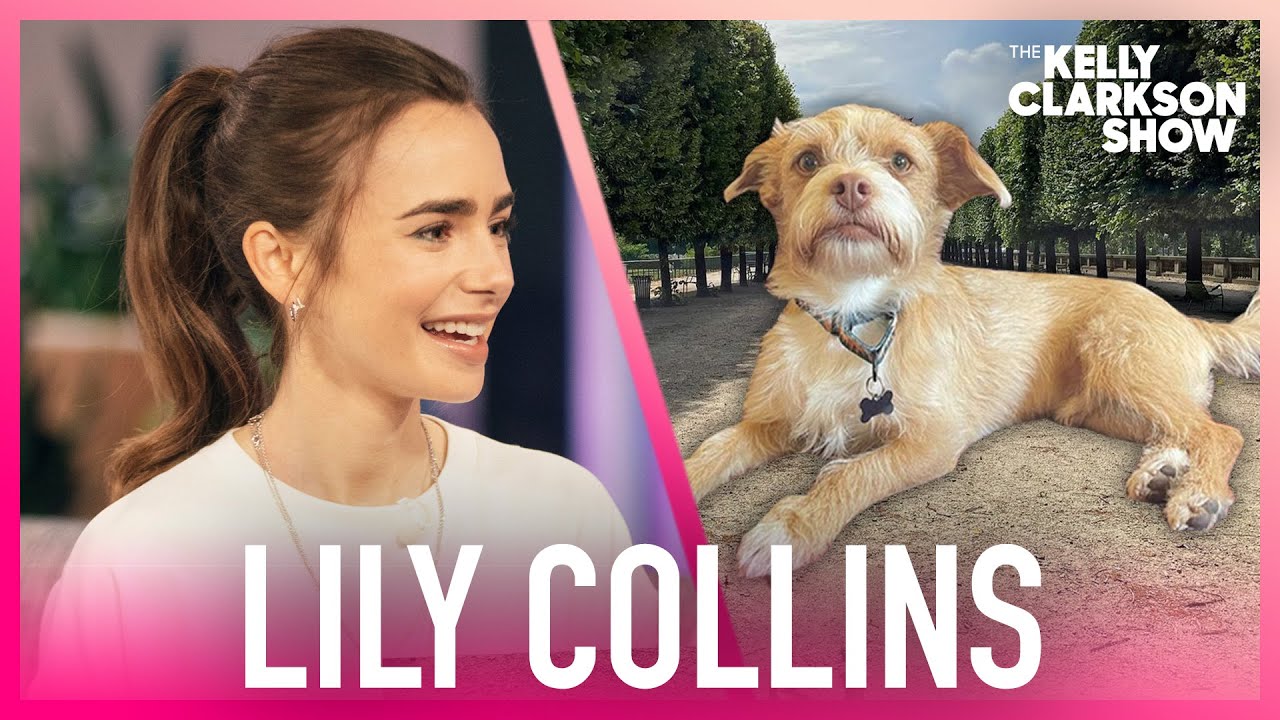Marvelous Mrs. Maisel’s Rachel Brosnahan and More Stars Who Bring Pets to Set